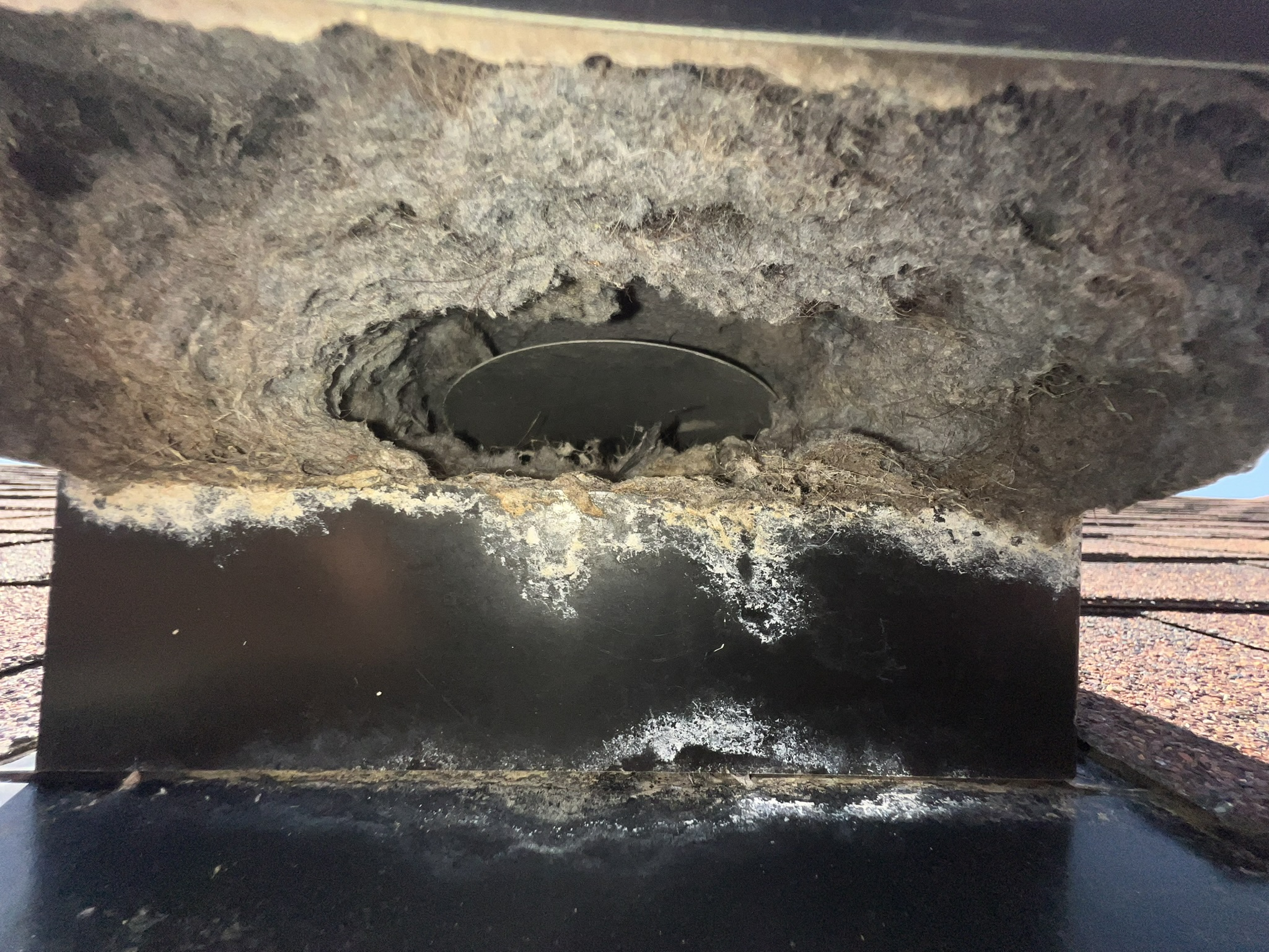 Technician performing dryer vent cleaning service